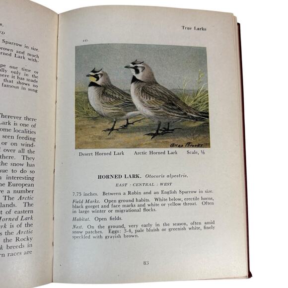 LOT OF 2 - Canadian Land and Water Birds A Pocket Field Guide P.A. Taverner 1939 - Picture 11 of 16